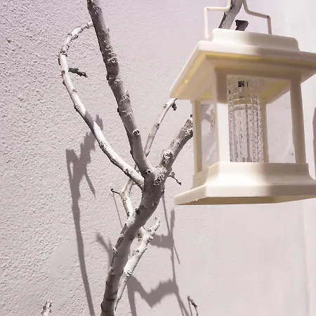 ベッド・アンド・ブレックファスト Naxos Petite 3*